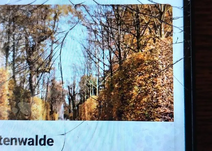 Ruhig Und Spartanisch Wohnen In 2 Jaktstuga *