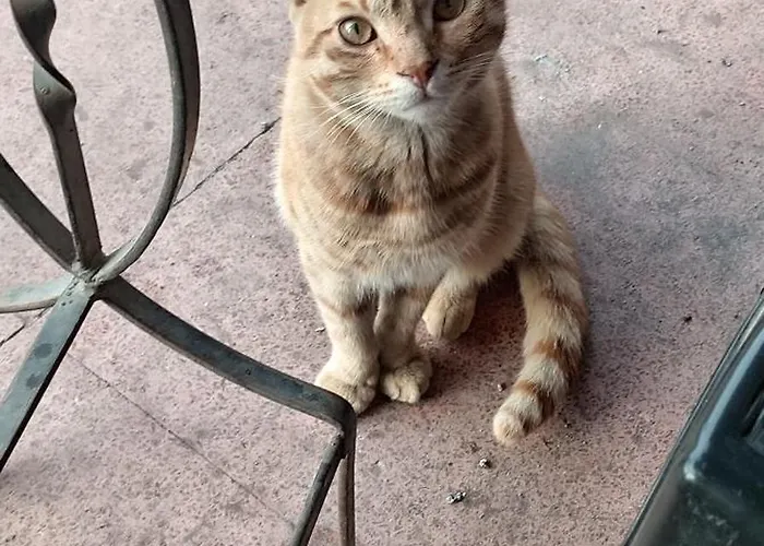 Jaktstuga Ruhig Und Spartanisch Wohnen In 2 Lichtenwalde